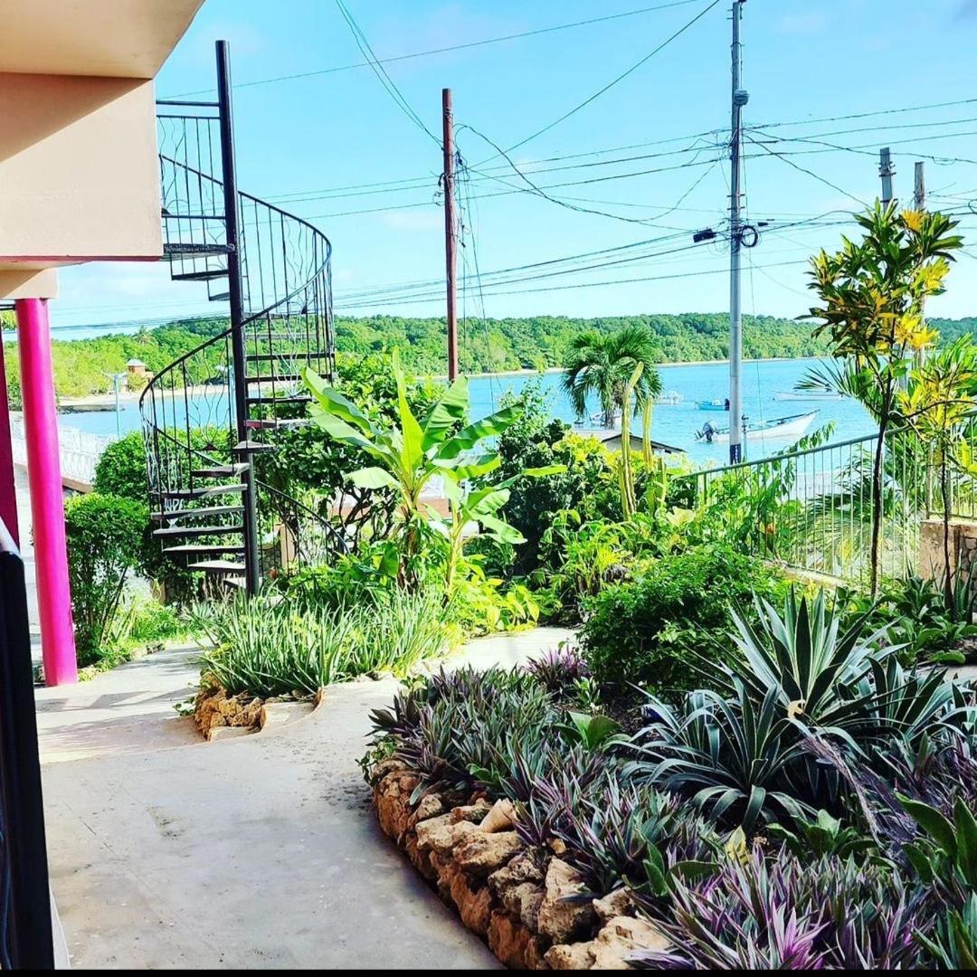 The Seaside Garden Guesthouse Buccoo Экстерьер фото
